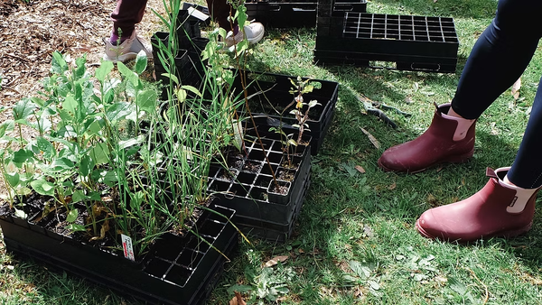 Get your hands dirty for Battery Creek