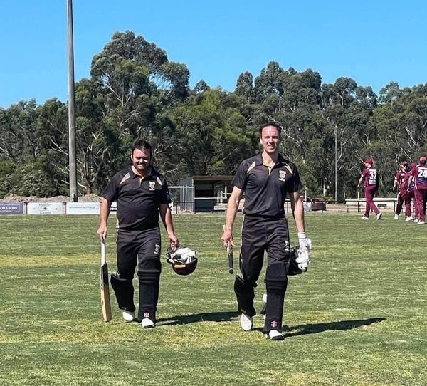 Tiges off to flying start in the cricket