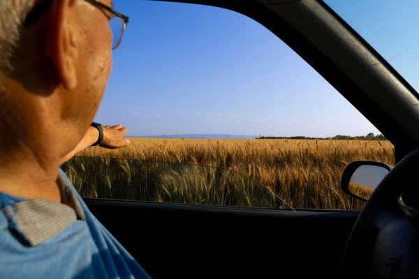 Free driving workshop for older drivers in Foster