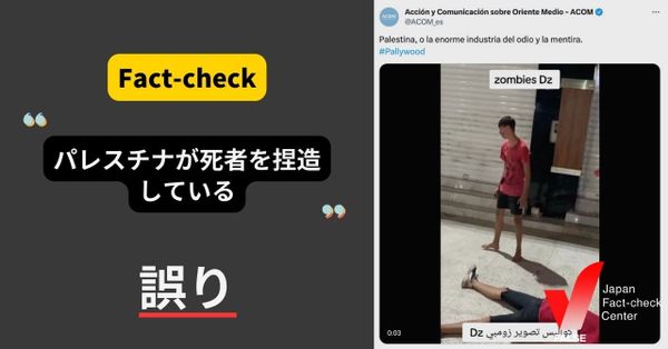 （動画）パレスチナが死者を捏造している？【ファクトチェック】