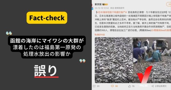 （福島第一原発）魚の大量死は処理水の影響？【ファクトチェック】
