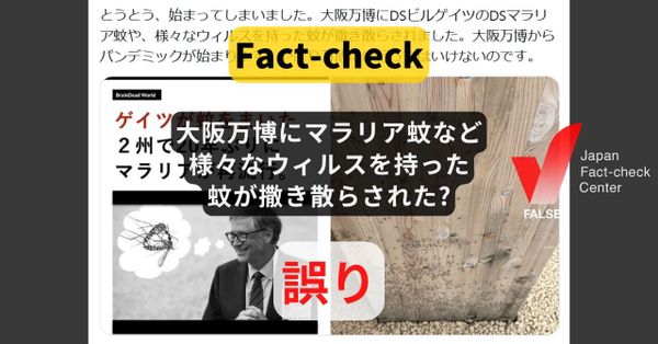 「大阪万博にマラリア蚊など様々なウィルスを持った蚊が撒き散らされた」? 人を刺さない虫で感染症リスクは低い【ファクトチェック】
