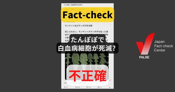 たんぽぽで白血病細胞が死滅? 現時点で治療に有効とは言えない【ファクトチェック】（修正あり）