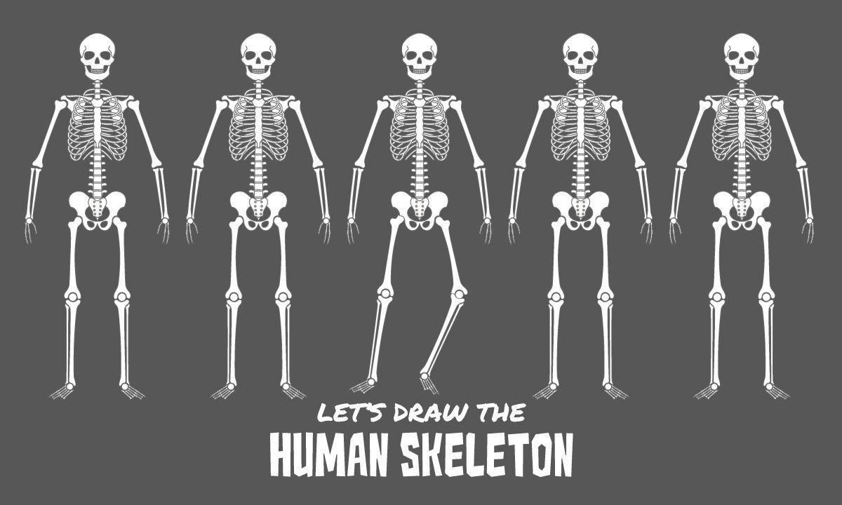 Let's Draw Skeletons