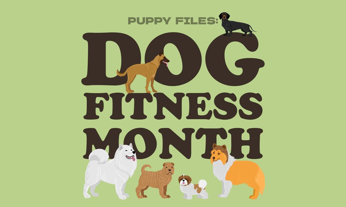 Canine Fitness Month