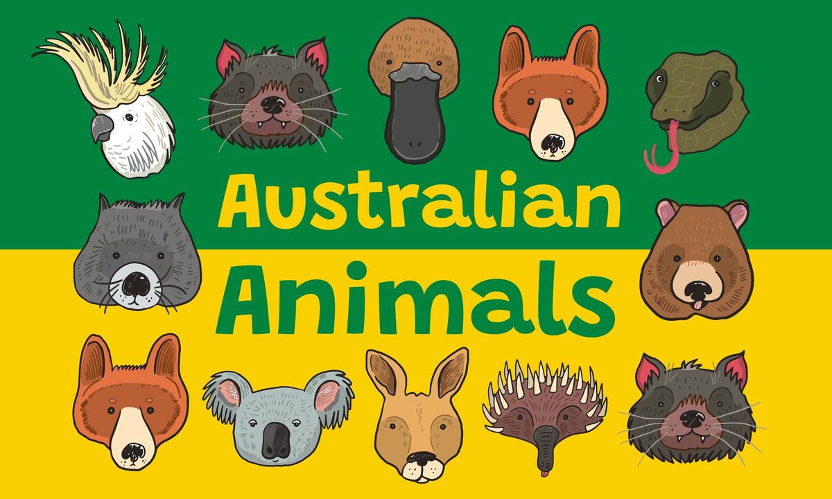Let's Draw Australian Animals