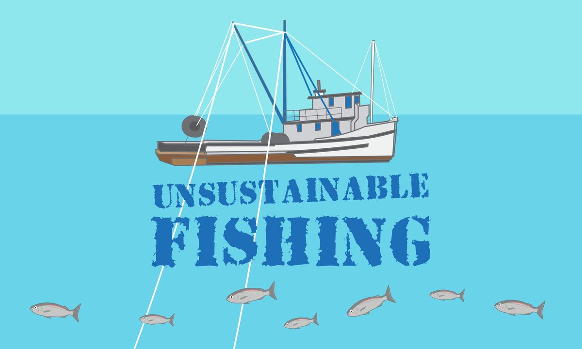 What is Unsustainable Fishing?