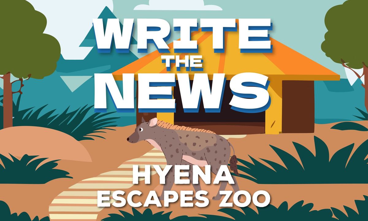 Write the News: Hyena Escapes City Zoo