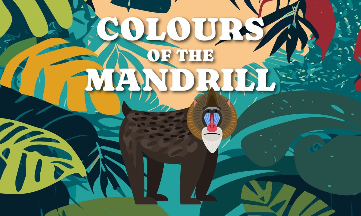 Colours of the Mandrill