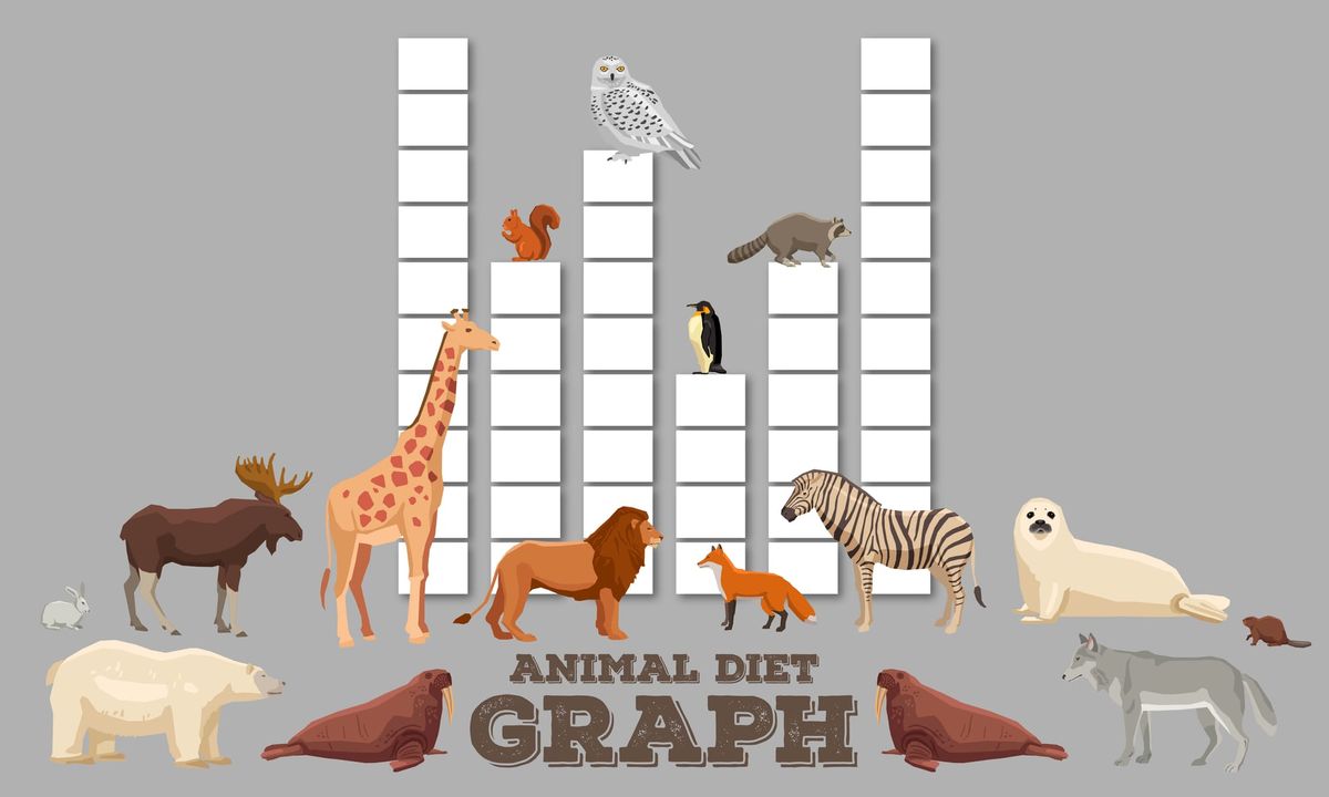 Creative Math Activity of the Week