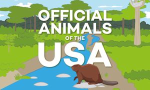 Official State Animals of the USA