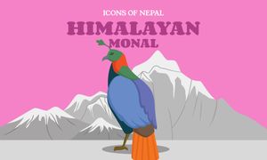 Icons of Nepal: Himalayan Monal