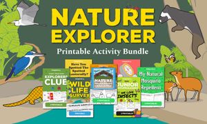 Young Nature Explorers Activity Printable Bundle