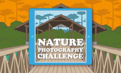 Nature Photography Challenge: Printable Outdoor Activity for Kids