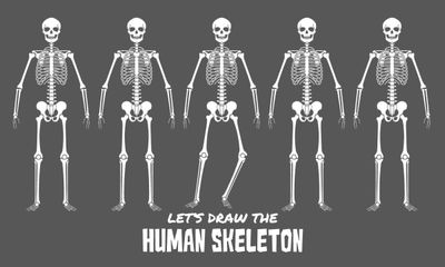 Let's Draw Skeletons