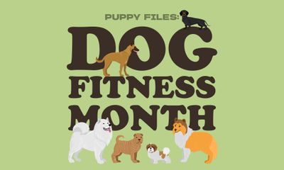 Canine Fitness Month
