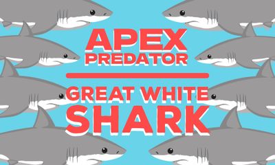 Apex Predator of the Seas: Great White Shark