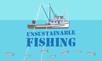 What is Unsustainable Fishing?