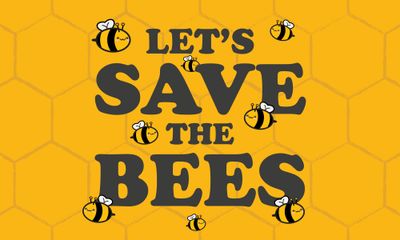 Why We Must Save the Bees