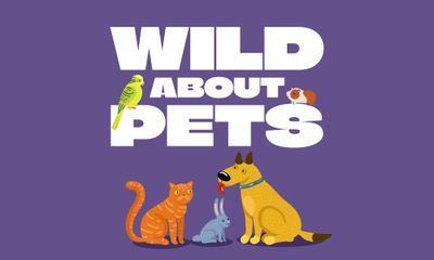 Wild About Pets: Creative Pet-Themed Printables Bundle