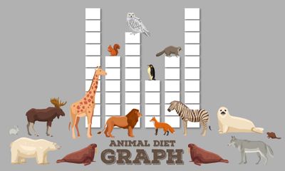 Creative Math Activity of the Week
