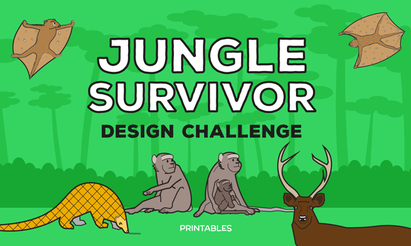 Jungle Survivor Design Challenge
