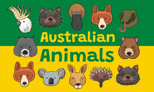 Let's Draw Australian Animals