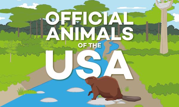Official State Animals of the USA