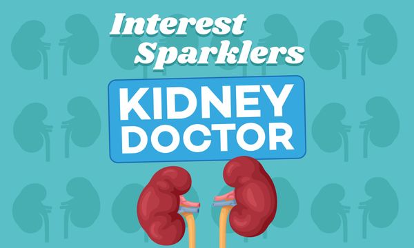 Interest Sparklers: Learn About Kidney Doctors