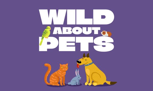 Wild About Pets: Creative Pet-Themed Printables Bundle