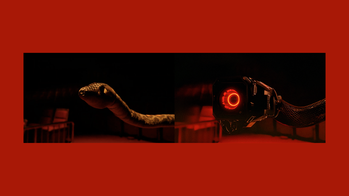 Dance Film <CHIMERA>