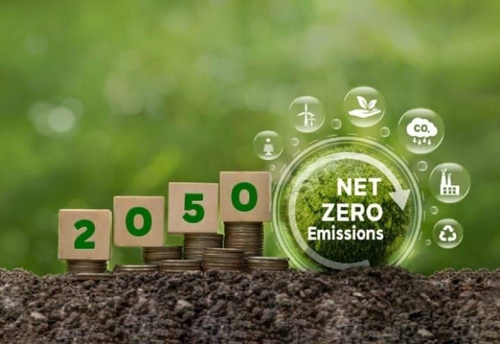 El concepto “Cero Neto” y su importancia en la lucha contra el cambio climático