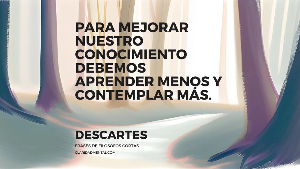 Descartes: Para mejorar nuestro conocimiento debemos aprender menos y contemplar más.