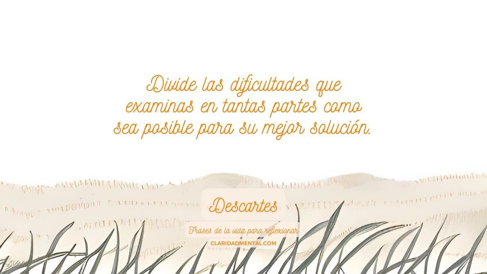 Descartes: Divide las dificultades que examinas en tantas partes como sea posible para su mejor solución.