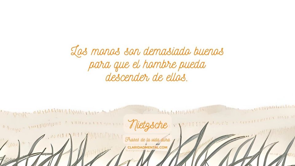 Nietzsche: Los monos son demasiado buenos para que el hombre pueda descender de ellos.