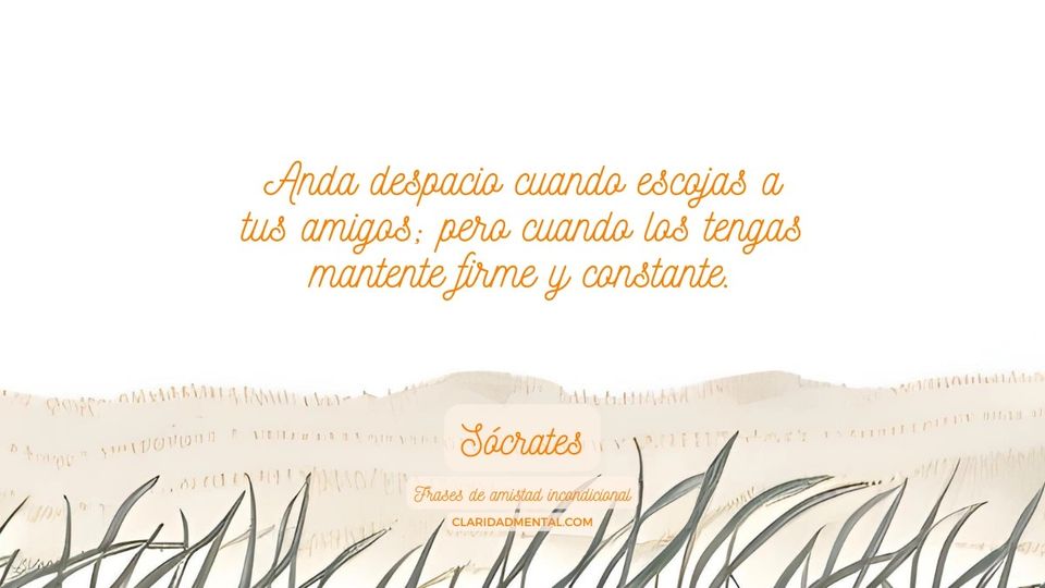 Sócrates: Anda despacio cuando escojas a tus amigos; pero cuando los tengas mantente firme y constante.
