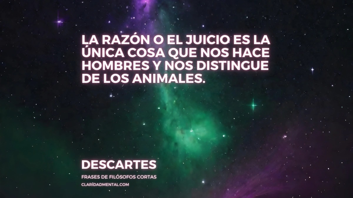 Frases Libertad, Frases de la vida real, Frases Reflexivas, Frases de libertad, Frases de Vida