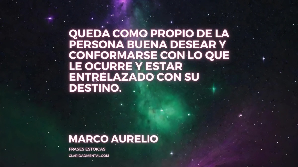 Frases de la vida real, Frases Positivas, Frases de Felicidad, Frases Reflexivas, Frases de Vida