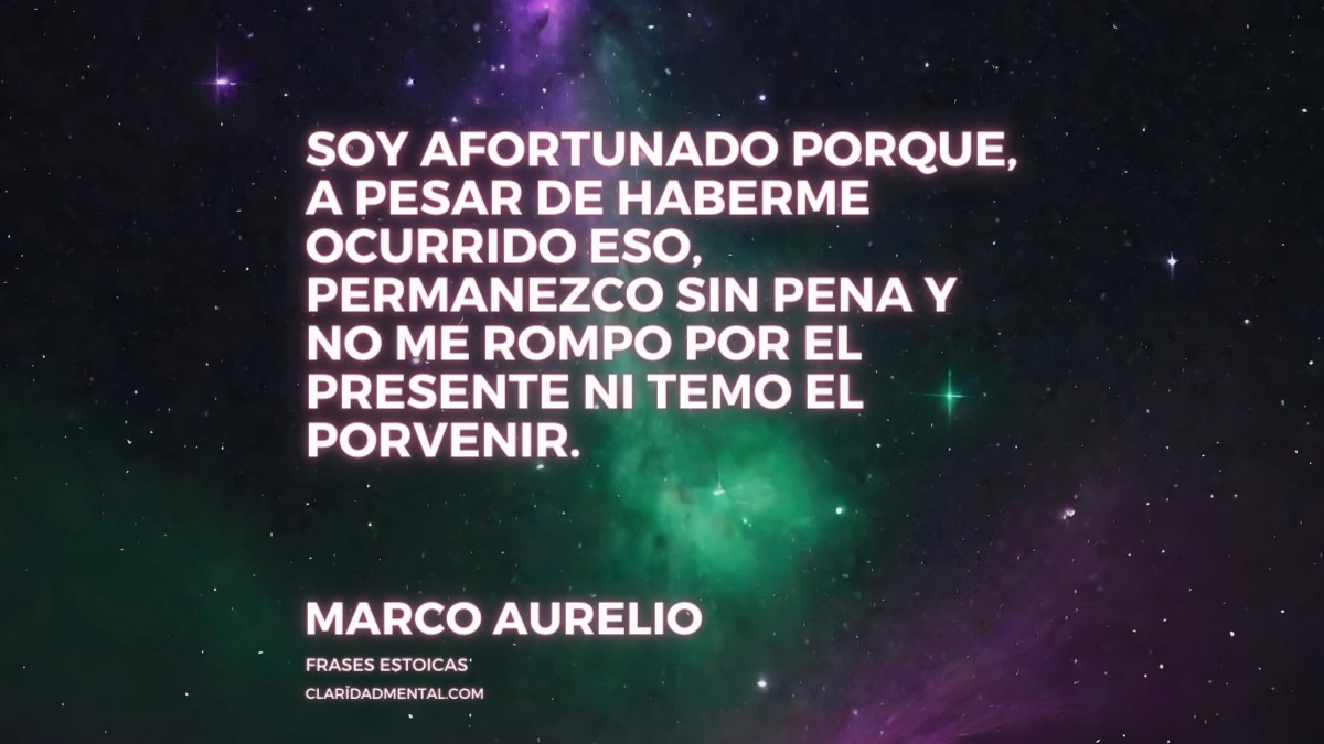 Frases Libertad, Frases de la vida real, Frases Reflexivas, Frases de libertad, Frases de Vida