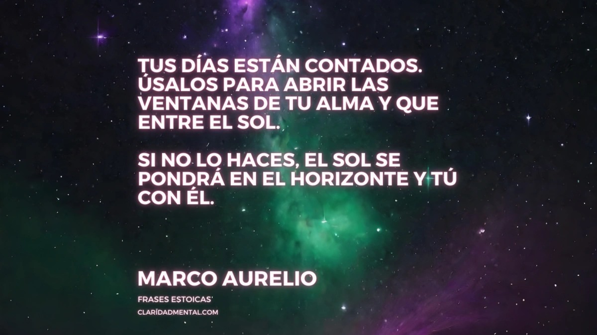 Frases de la vida real, Frases de filósofos cortas, Frases Reflexivas, Frases de Vida, Frases Inspiradoras