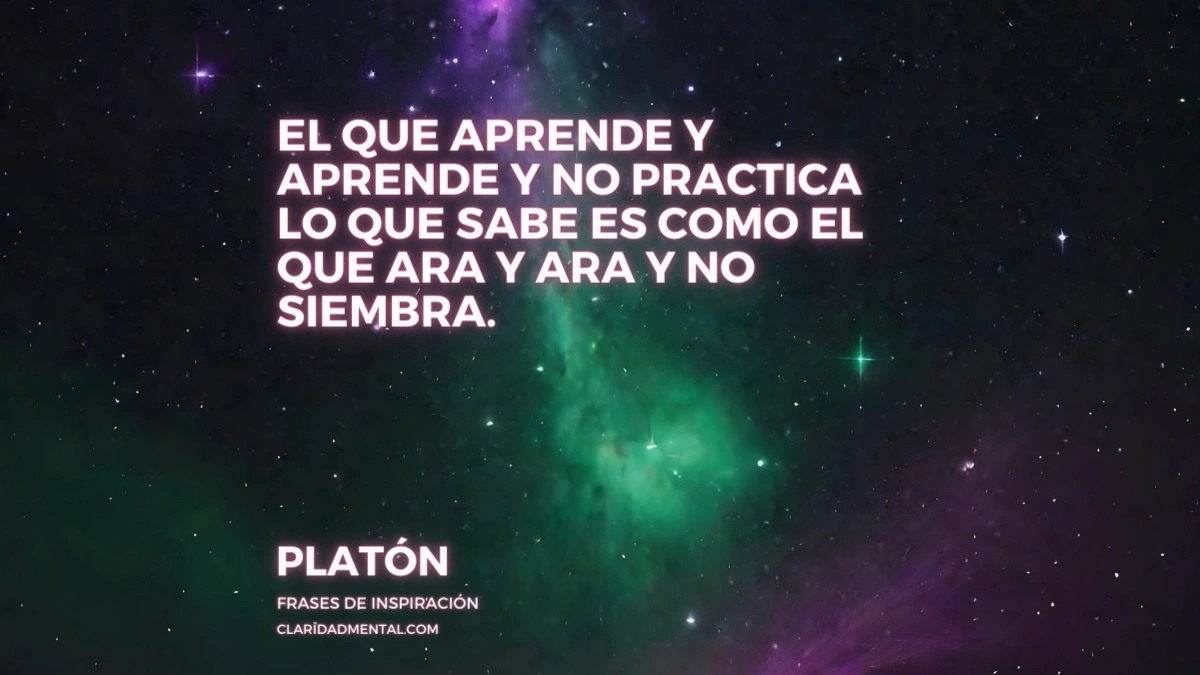 Frases de la vida real, Frases de tristeza, Frases Reflexivas, Frases Negativas, Frases de Vida