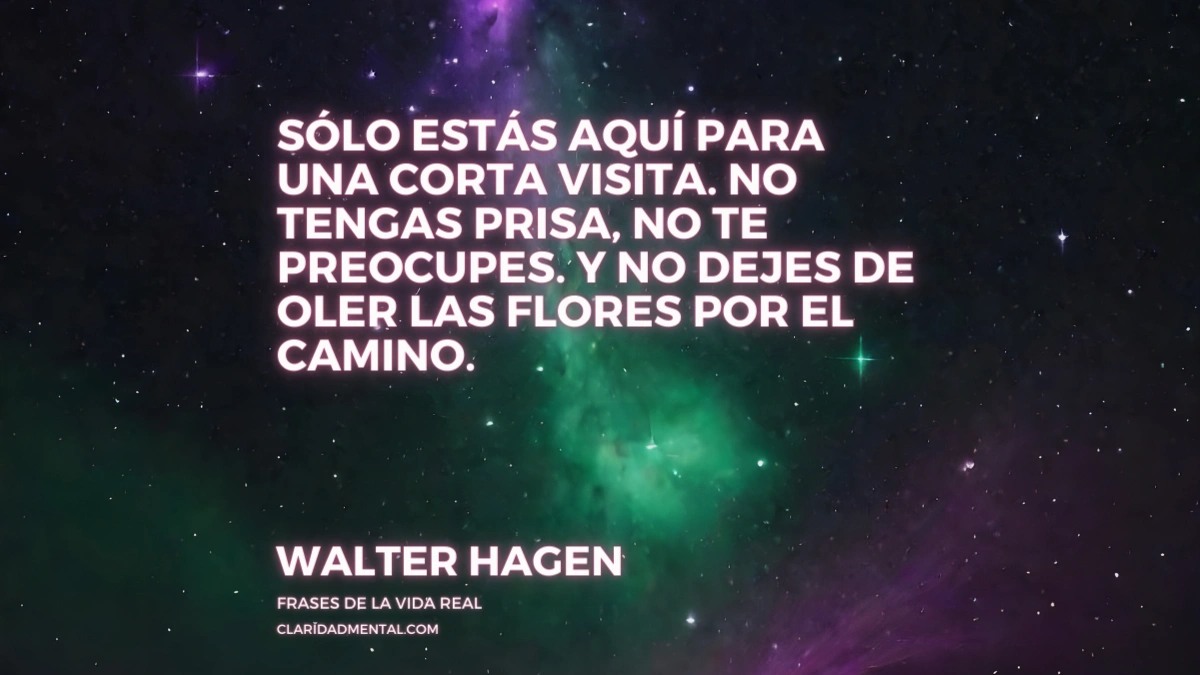 Frases de Vida, Frases Reflexivas, Frases de vivir la vida, Frases de la vida real