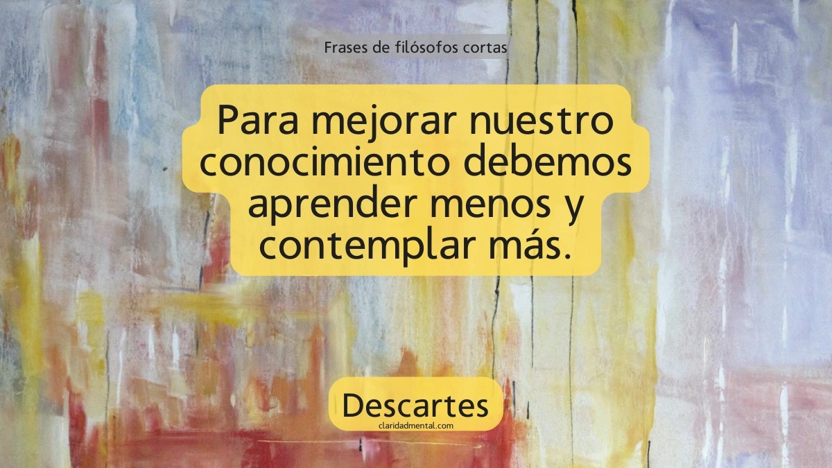 frase de Descartes
