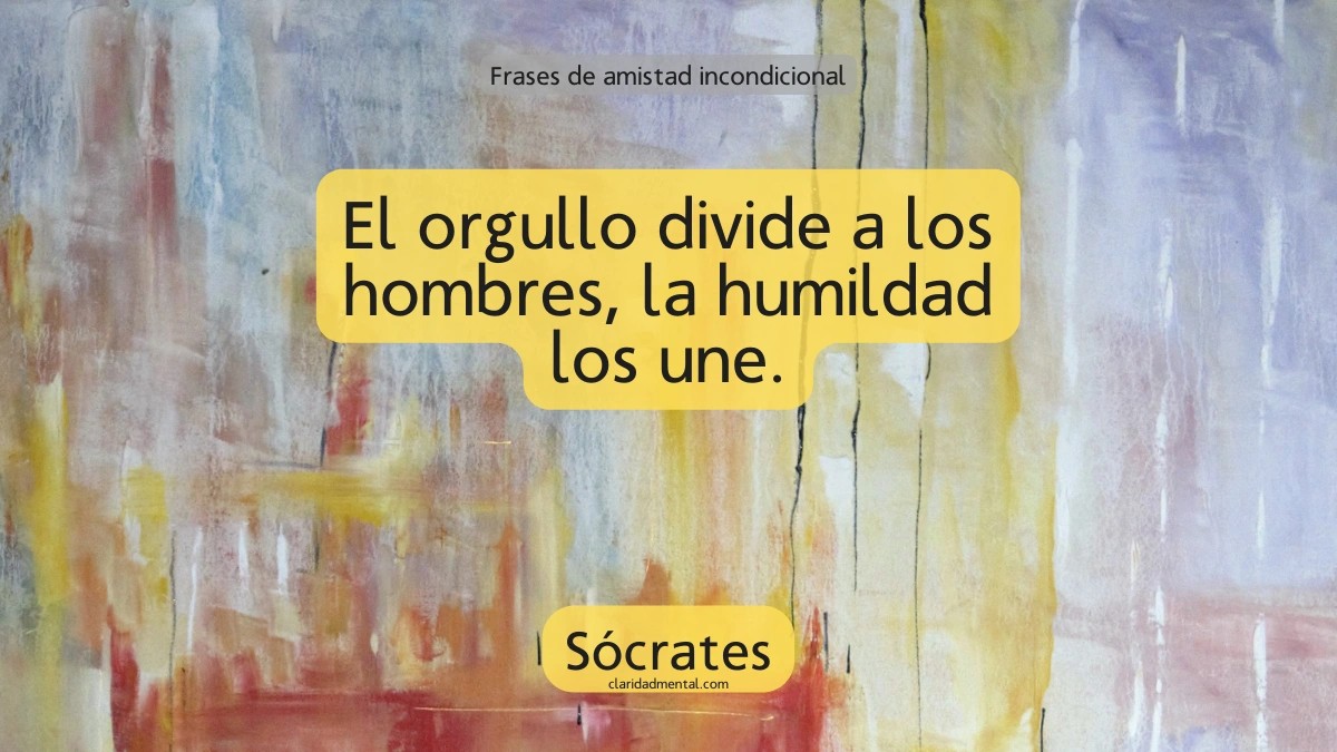 frase de Sócrates