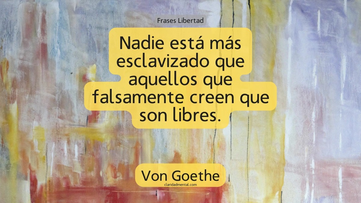 frase de Von Goethe