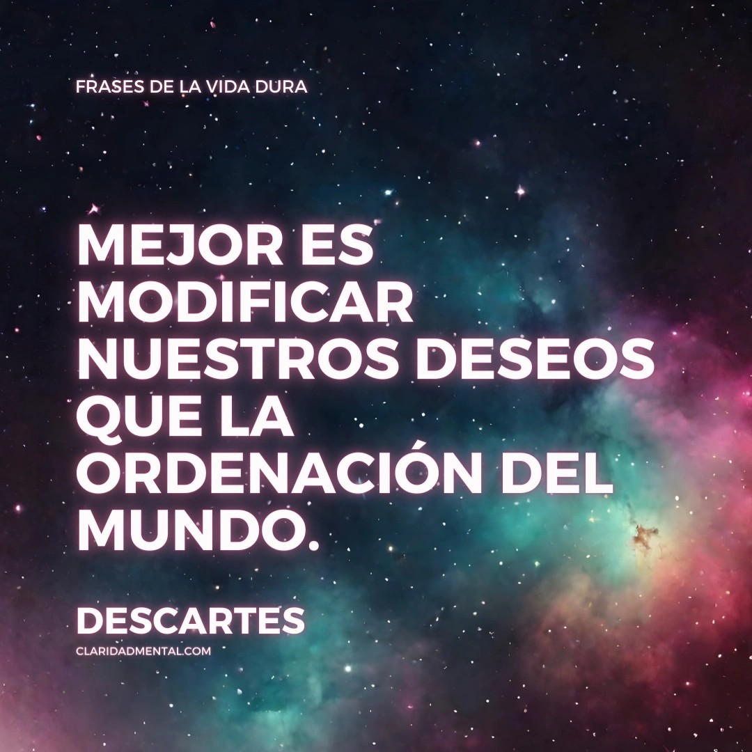 Frases de la vida dura