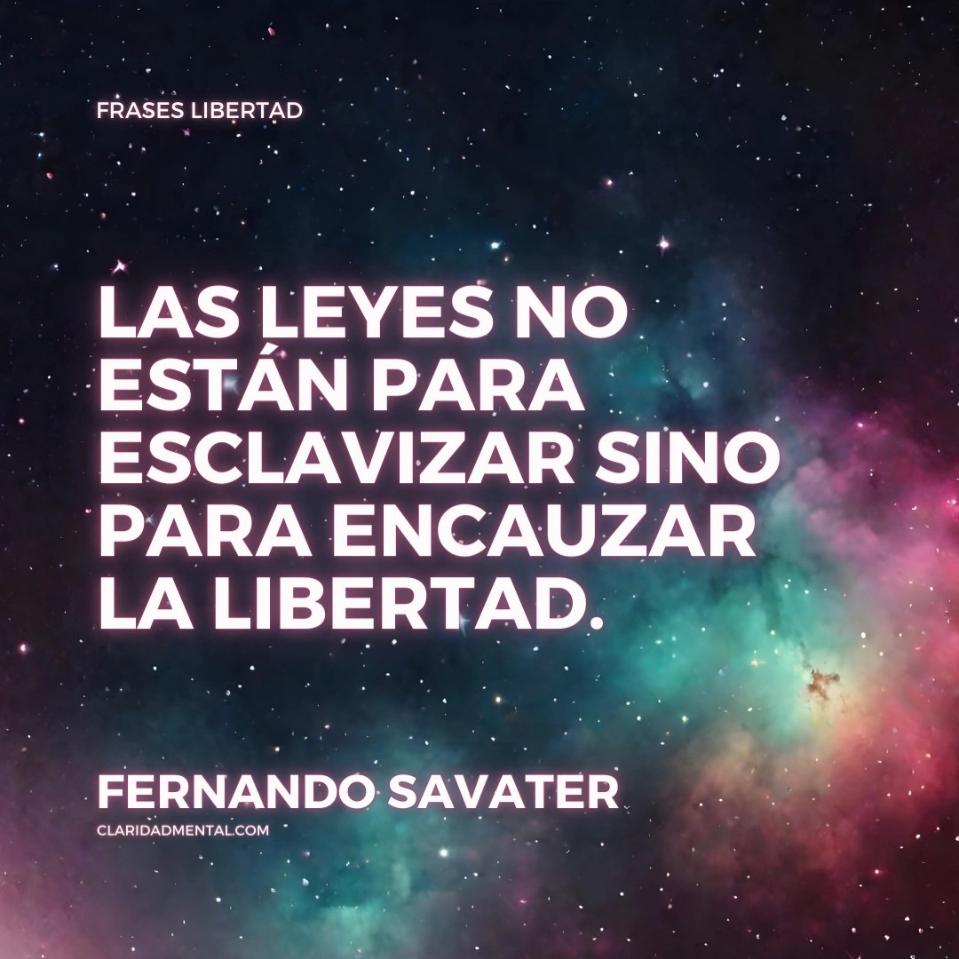 Frases Libertad, Frases de la vida real, Frases Reflexivas, Frases de libertad, Frases de Vida