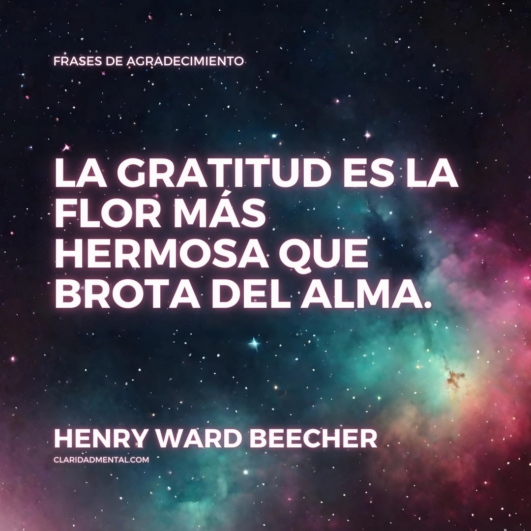 Frases de Vida, Frases Reflexivas, Frases de la vida real