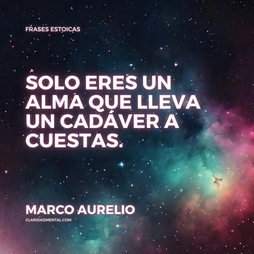 Frases de la vida real, Frases de un nuevo comienzo, Frases Reflexivas, Frases de Vida, Frases Inspiradoras