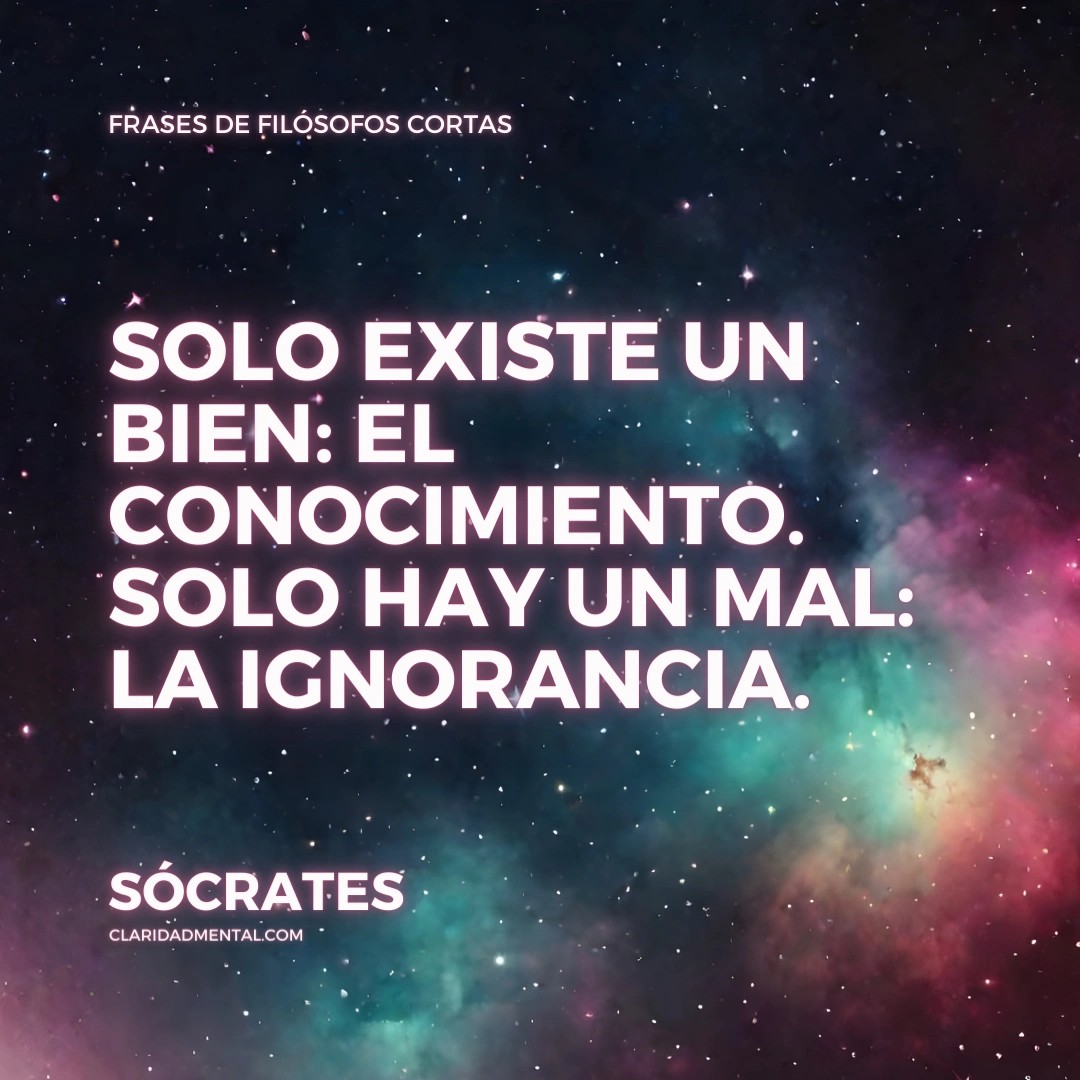 Frases de la vida real, Frases de un nuevo comienzo, Frases Reflexivas, Frases de Vida, Frases Inspiradoras